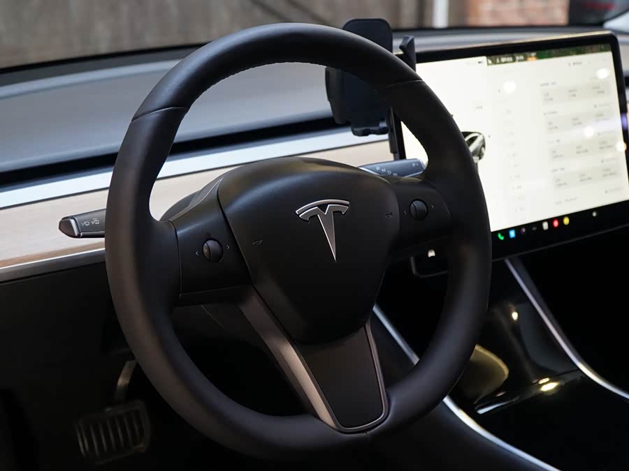 Tesla Model 3 2020 car image #11