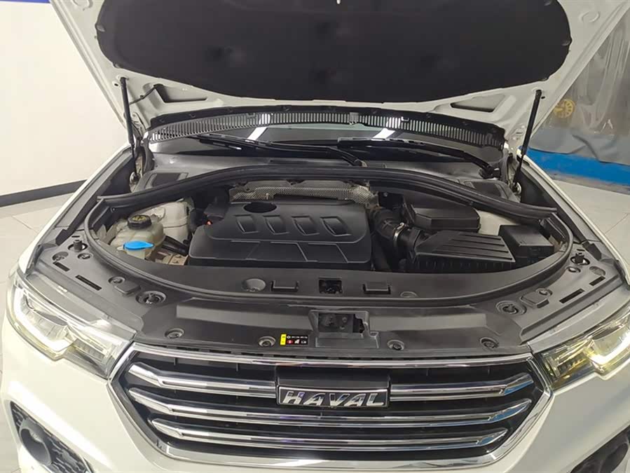 Haval H7 2019 car image #11
