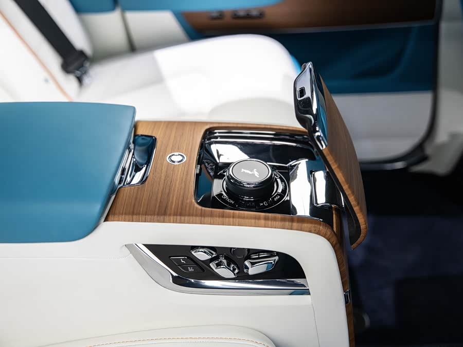 劳斯莱斯 库里南 2020 汽车图片 #11