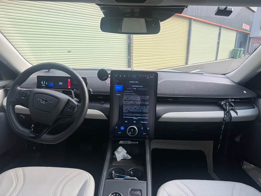 Ford Mustang Mach-E 2022 #11 Ford Mustang Mach-E 2022 car image #11