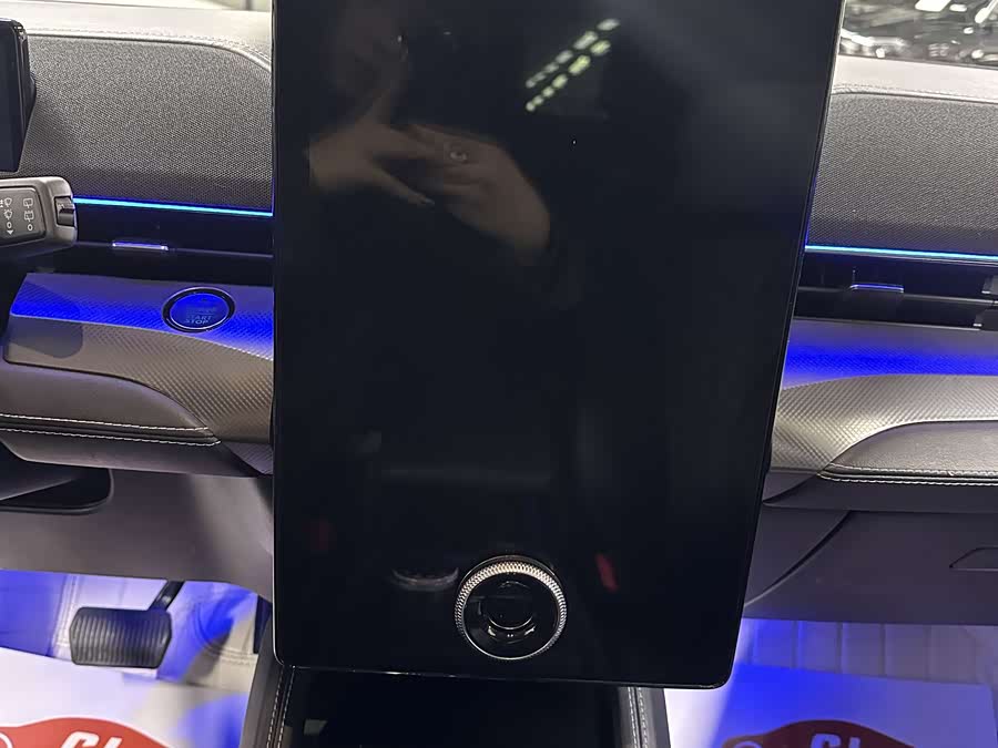 Ford Mustang Mach-E 2022 car image #11