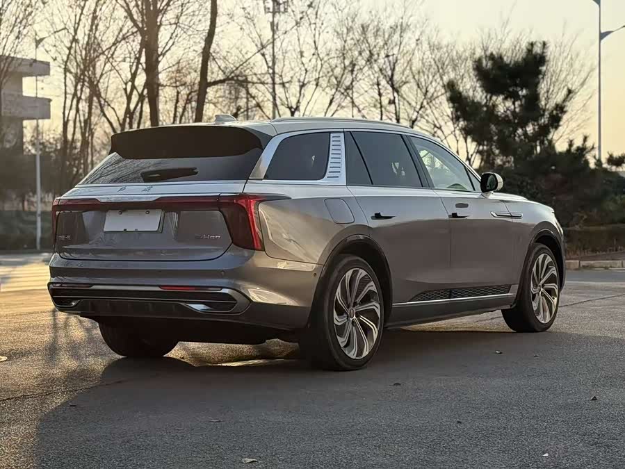 HongQi E-HS9 2020 image de voiture #11