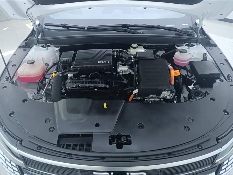 BYD Destroyer 05 2024 car image #11