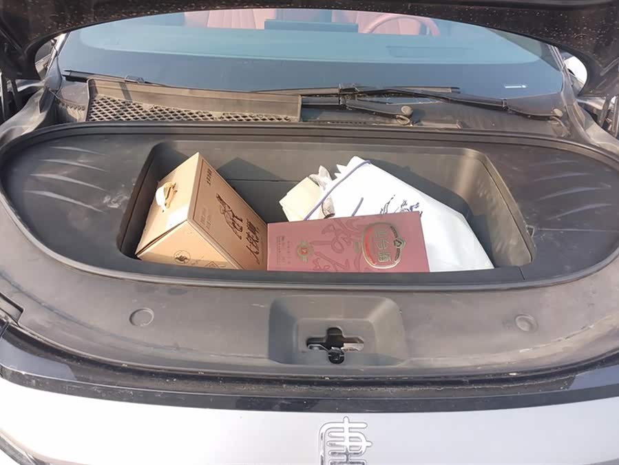 BYD Tang L 2025 #11 BYD Tang L 2025 immagine di auto #11