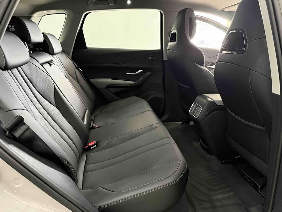 BYD Sea Lion 05 DM-i 2025 car image #11