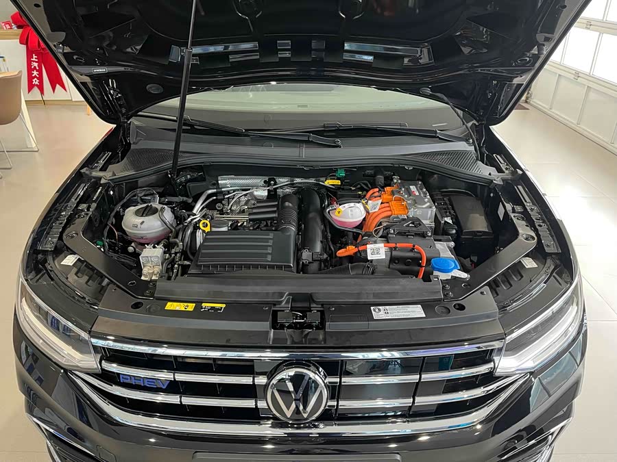Volkswagen Tiguan L New Energy 2025 car image #11
