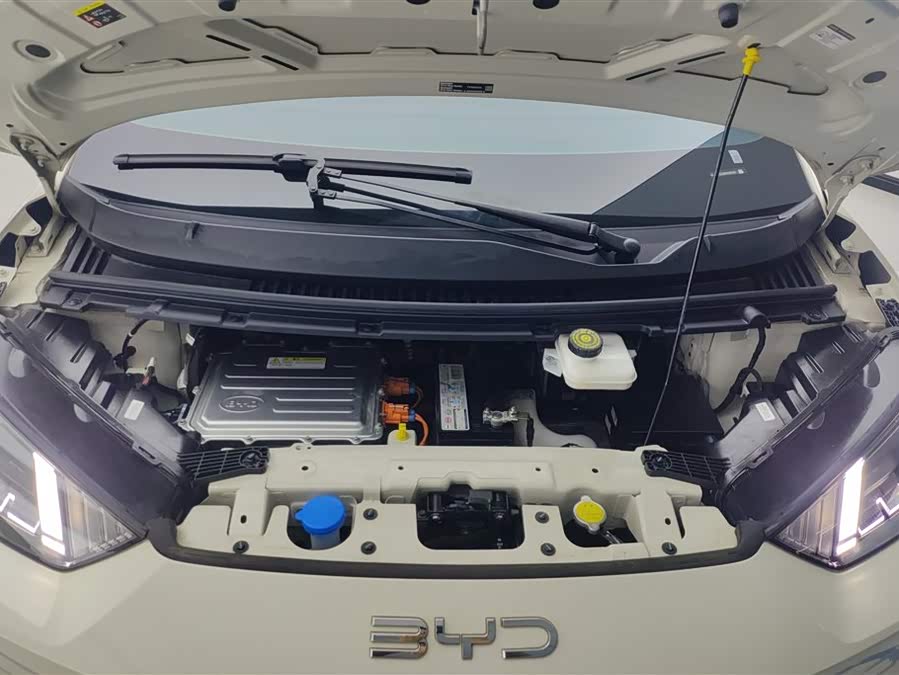 BYD Seagull 2024 car image #11