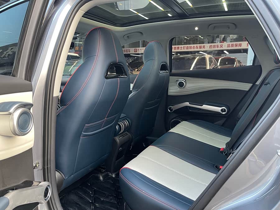BYD Yuan Plus 2023 car image #11