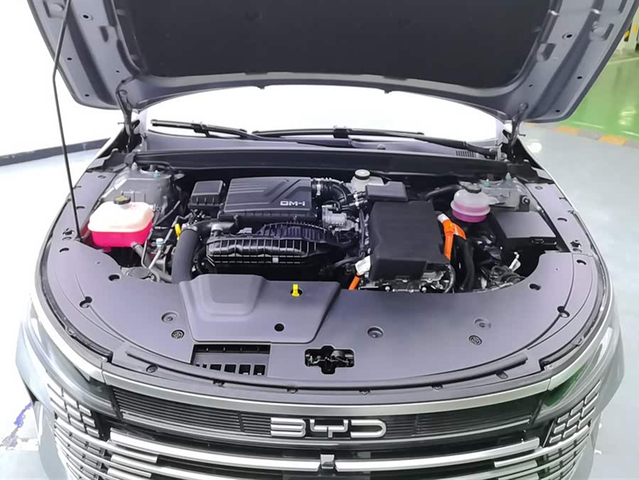 BYD Destroyer 05 2025 car image #11