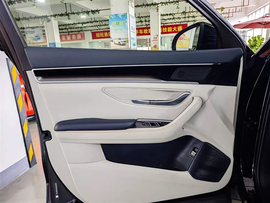 BYD Song Plus New Energy 2023 car image #11