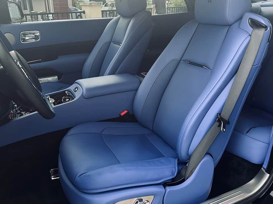 Denza Wraith 2020 immagine di auto #11