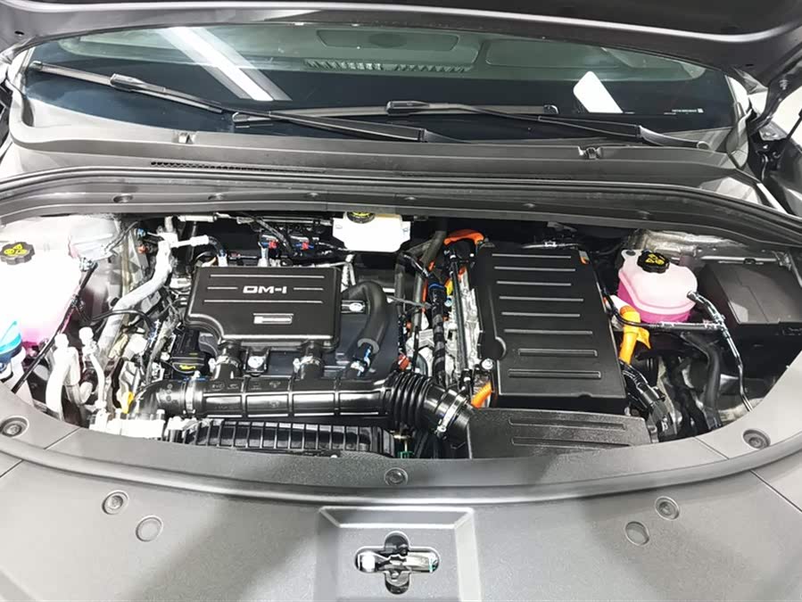 BYD SongL DM-i 2024 car image #11