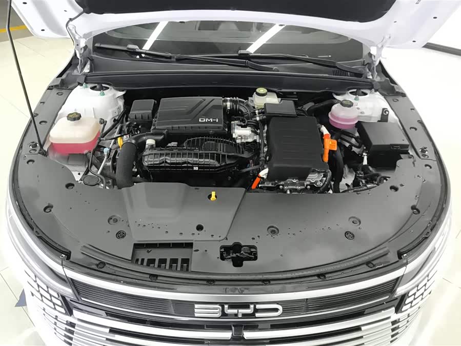 BYD Destroyer 05 2025 #11 BYD Destroyer 05 2025 car image #11