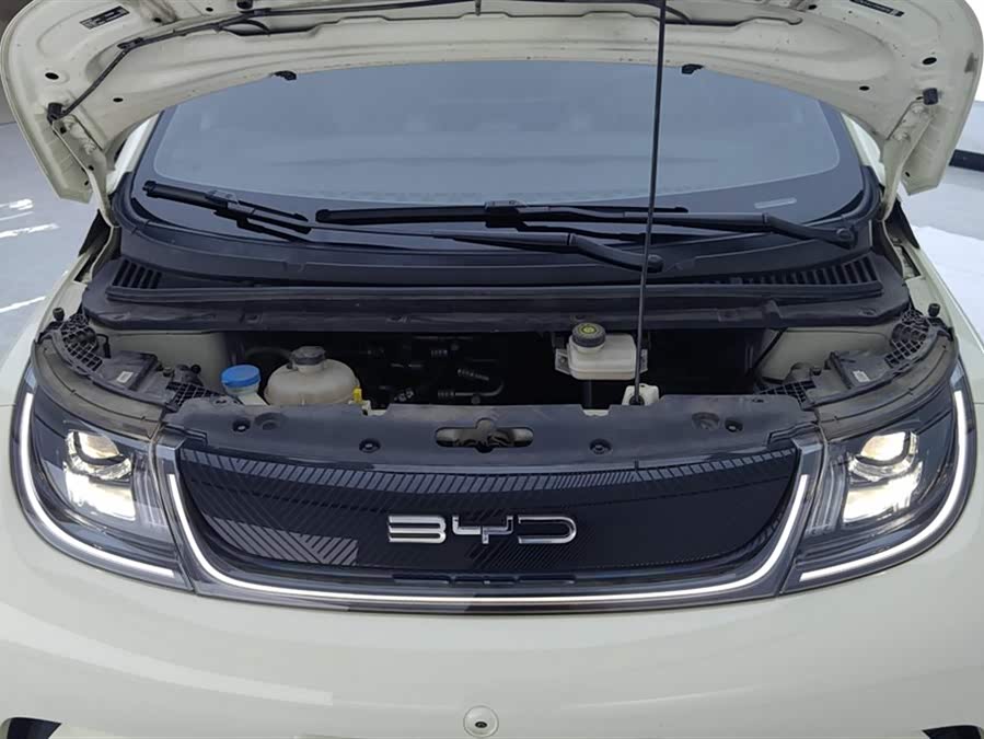 BYD Dolphin 2023 imagem de carro #11