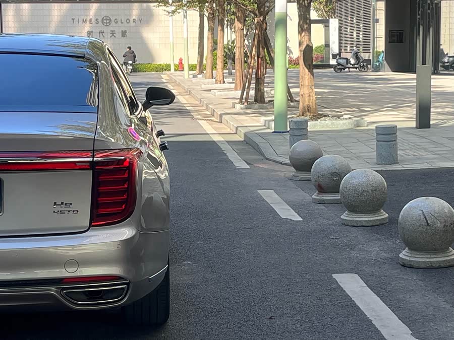 HongQi H9 2020 car image #11