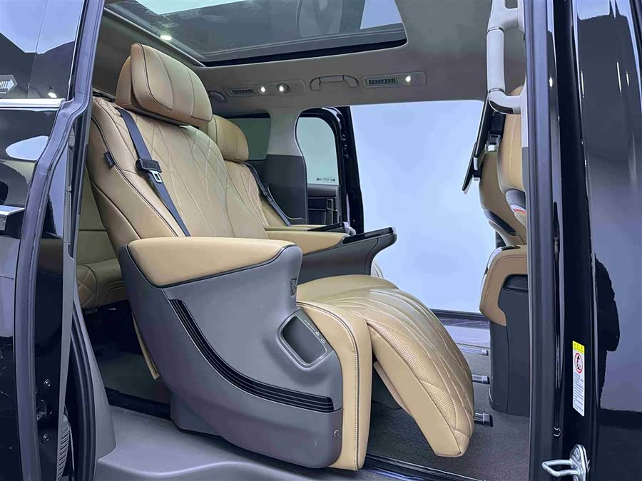 Denza D9 2023 immagine di auto #11