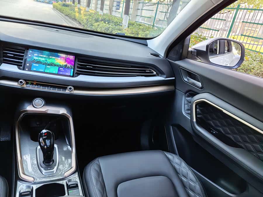 Haval H6 2020 car image #11