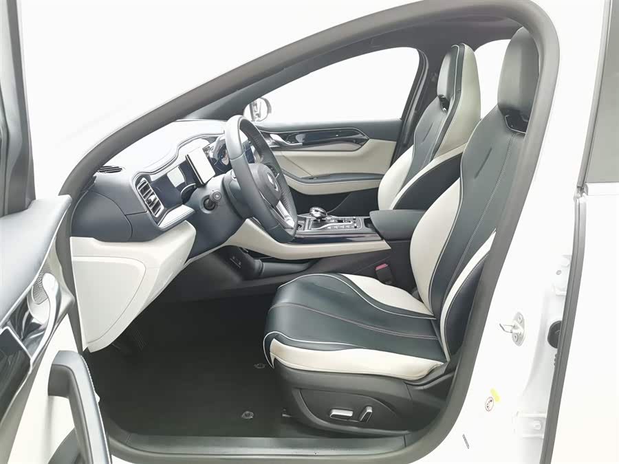 BYD Qin Plus 2022 immagine di auto #11