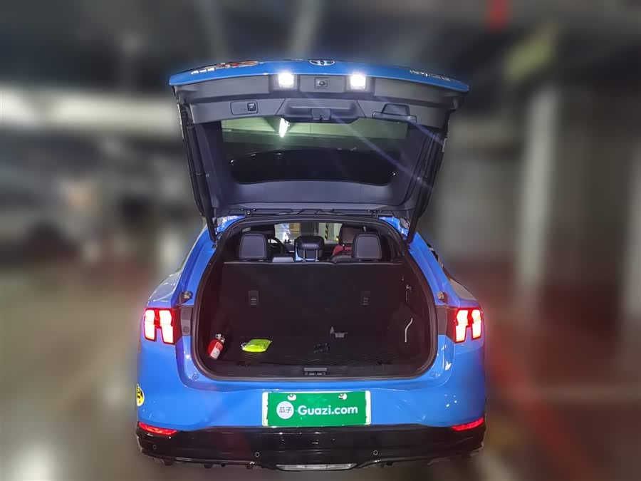 Ford Mustang Mach-E 2022 #11 Ford Mustang Mach-E 2022 car image #11