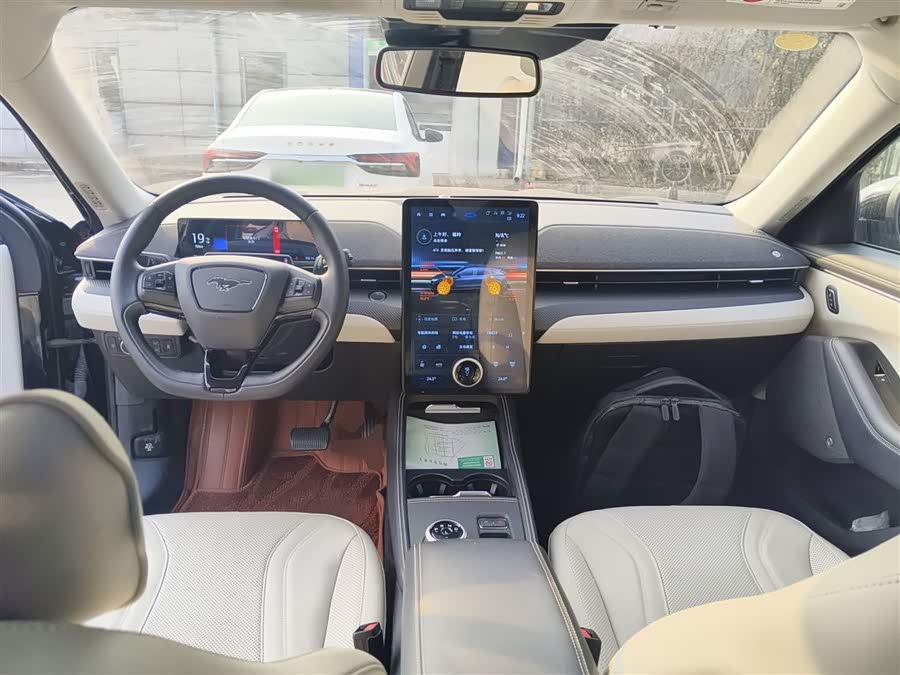 Ford Mustang Mach-E 2022 car image #11