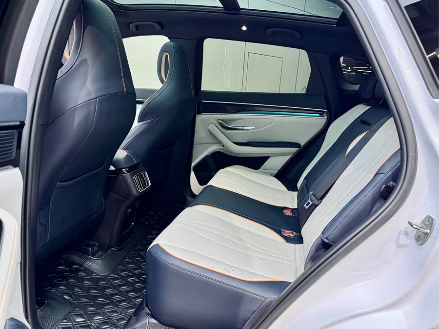 BYD Song Plus New Energy 2022 car image #11