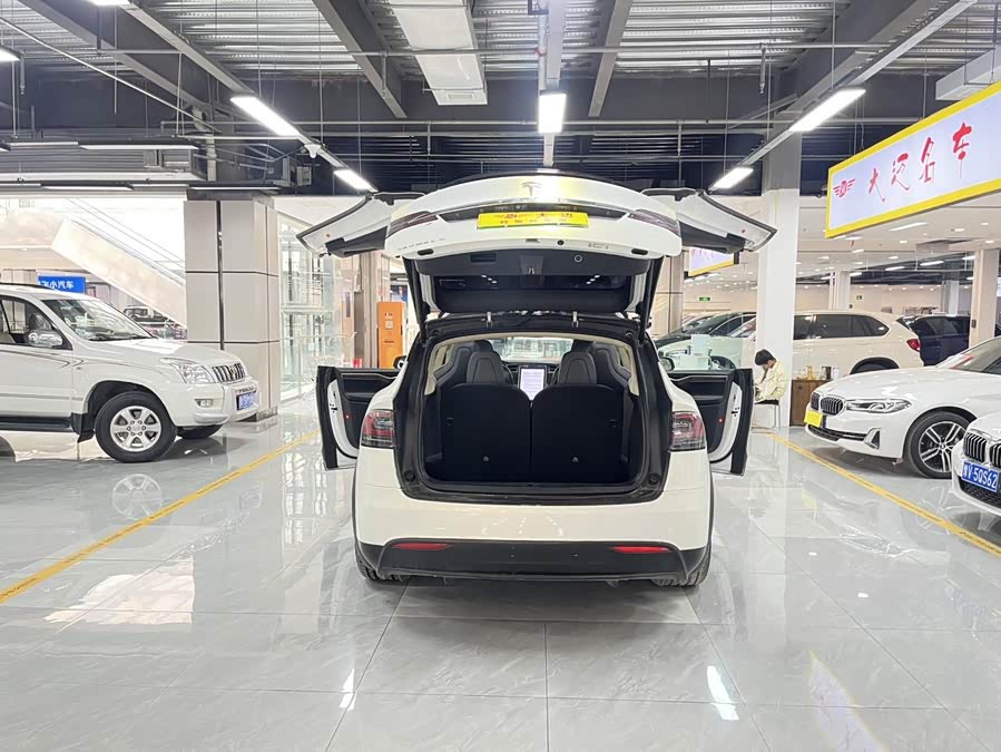 Tesla Model X 2018 car image #11