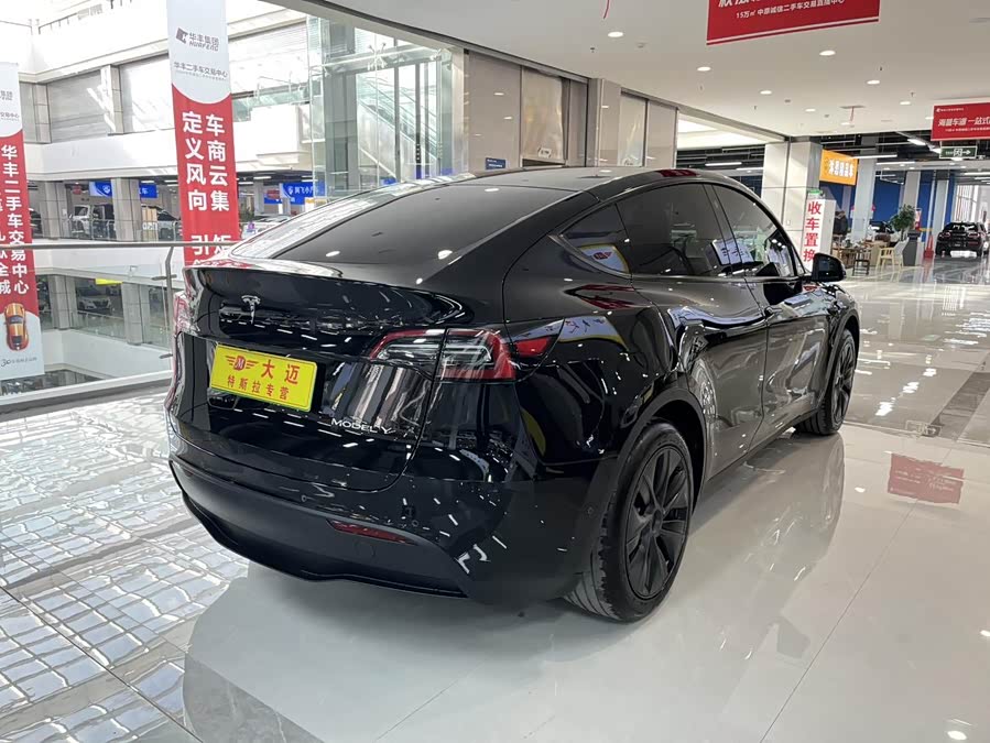 Tesla Model Y 2023 #11 Tesla Model Y 2023 car image #11