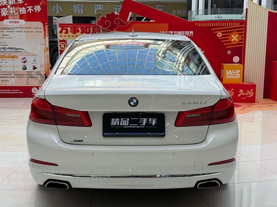 BMW 5 Series 2018 car image #11