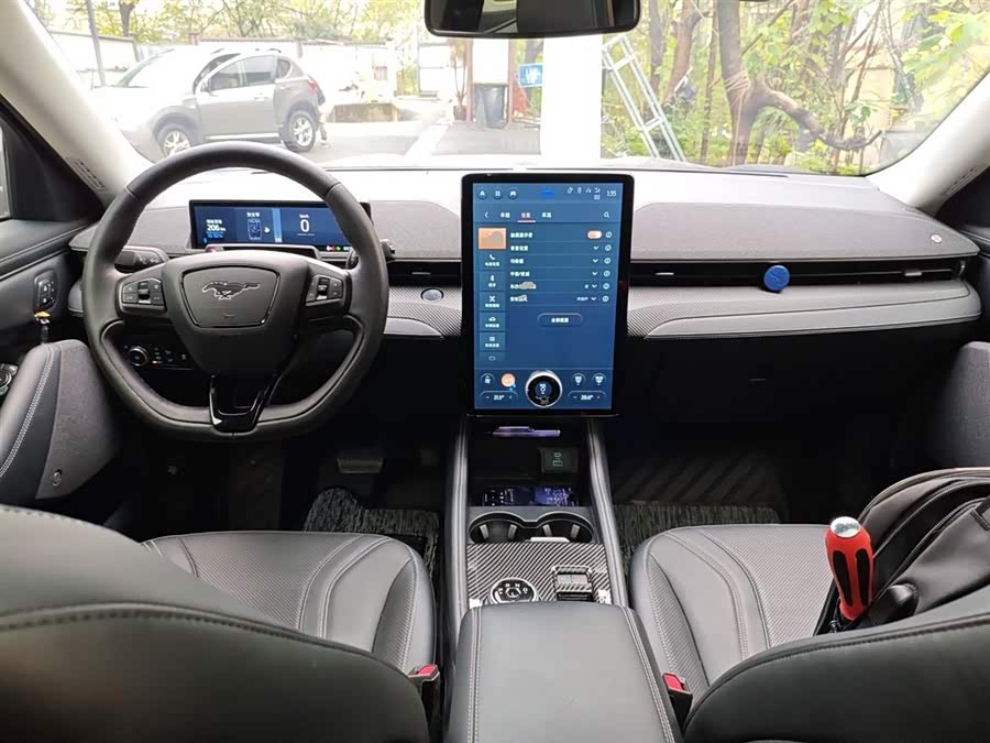 Ford Mustang Mach-E 2022 #11 Ford Mustang Mach-E 2022 car image #11