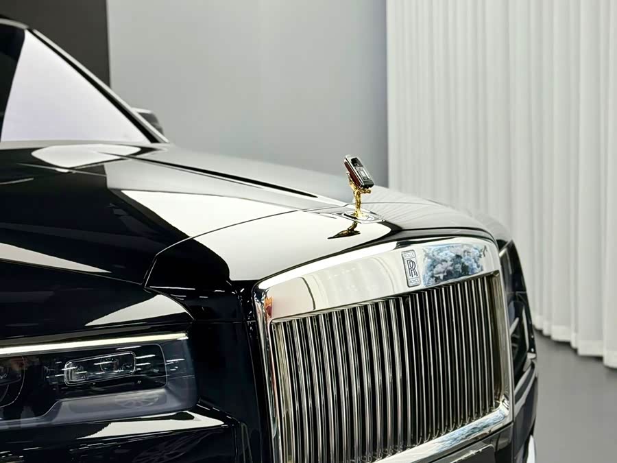 劳斯莱斯 库里南 2020 汽车图片 #11