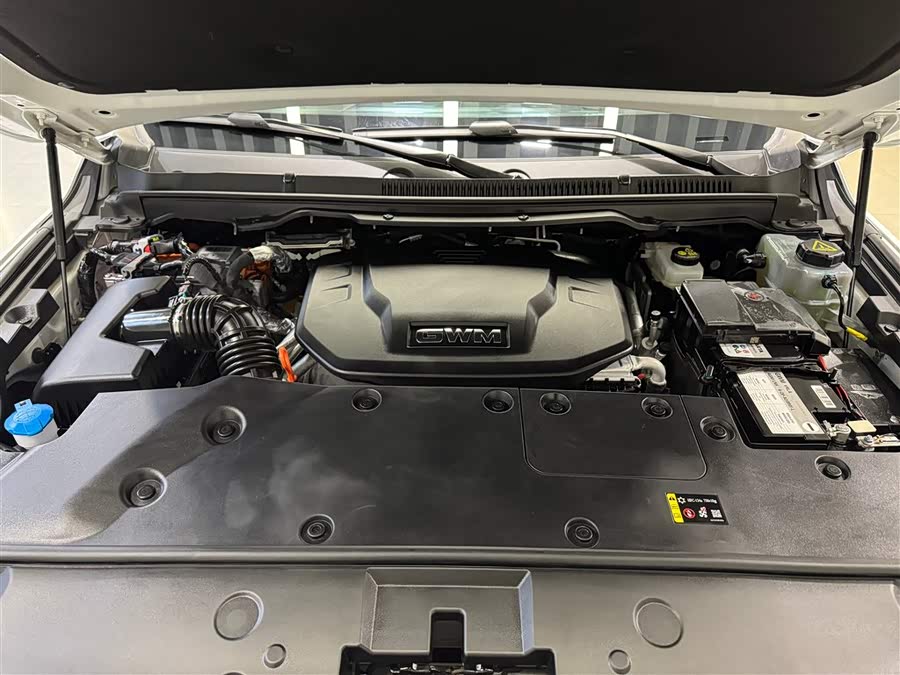 Tank 500 New Energy 2025 car image #11