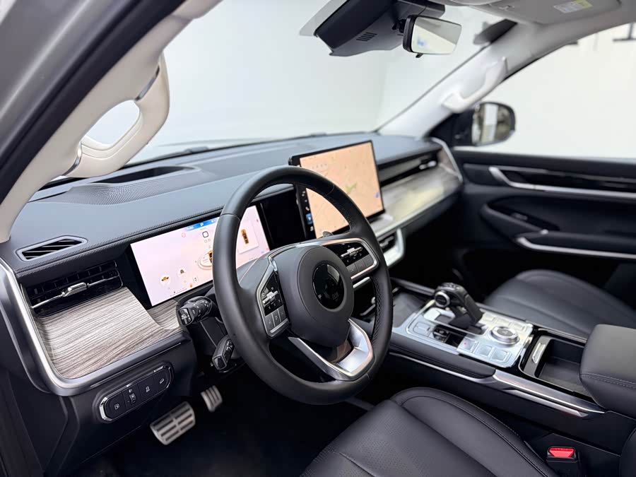 Great Wall Shanhai Pao Hi4-T car image #11