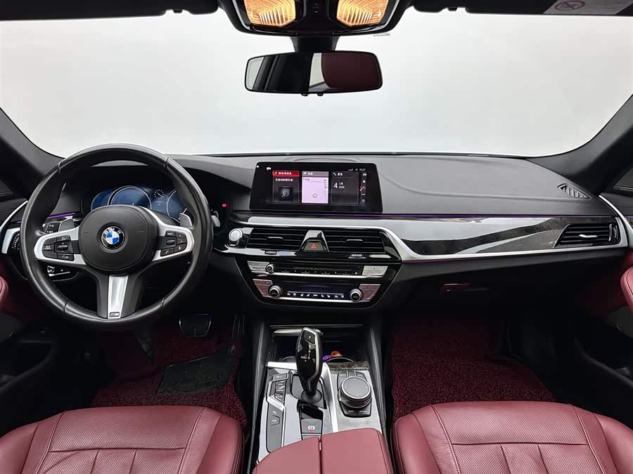 BMW 5 Series 2018 car image #11