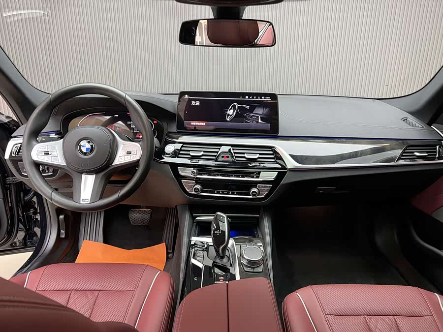 BMW 5 Series 2022 car image #11