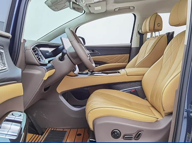 Denza D9 2023 car image #11