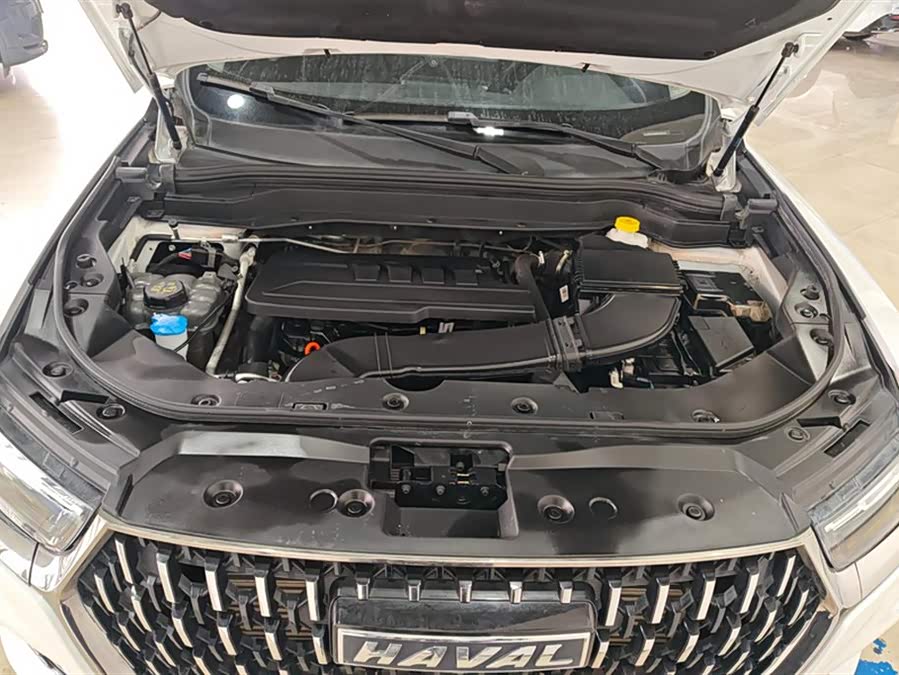 Haval H6 2023 car image #11