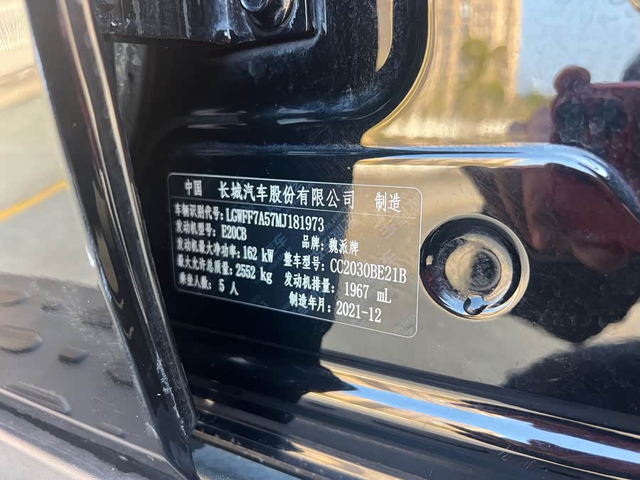 Tank 300 2021 car image #11