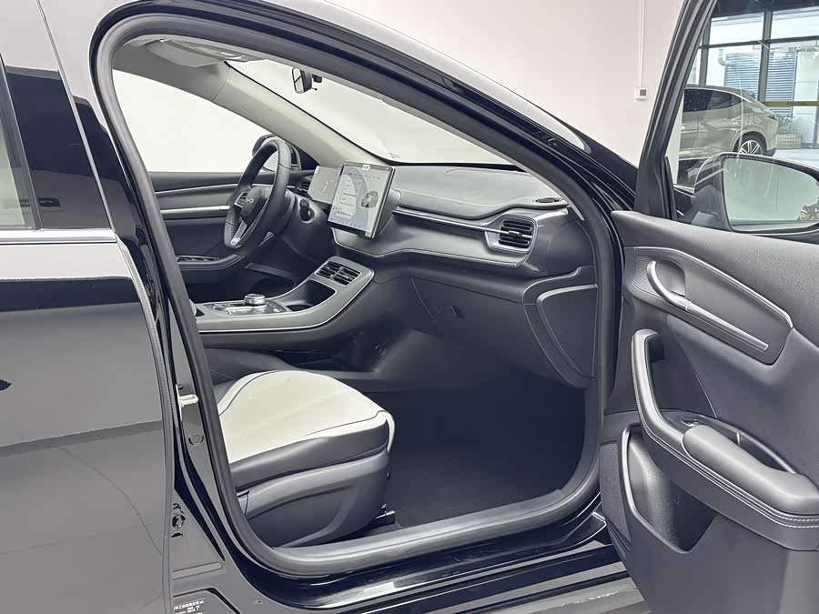 BYD Destroyer 05 2025 car image #11