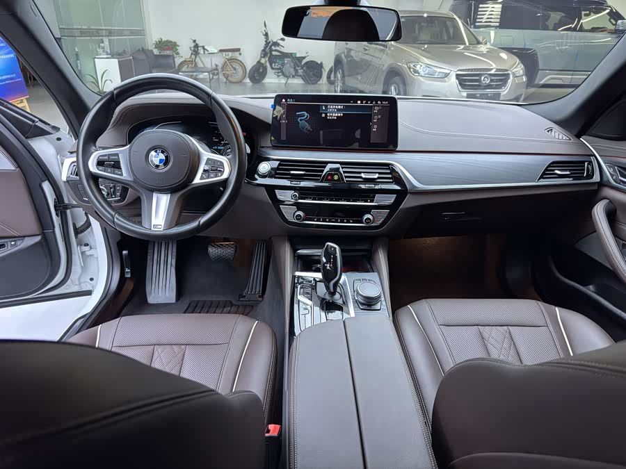 BMW 5 Series New Energy 2020 car image #11