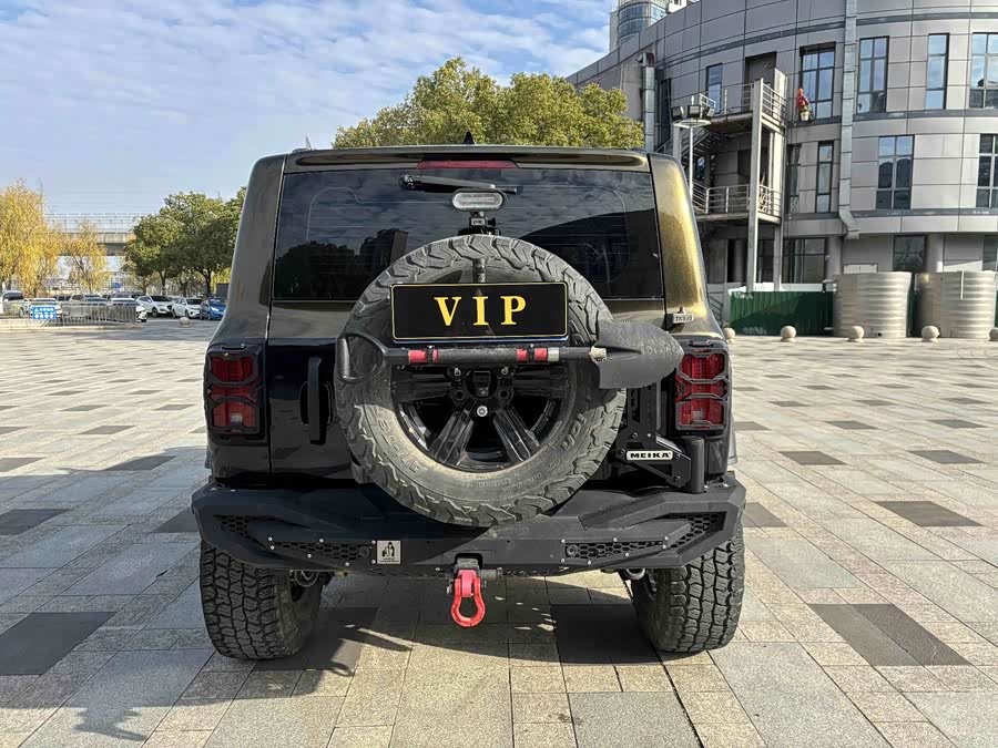 Tank 300 2023 #11 Tank 300 2023 صورة سيارة #11