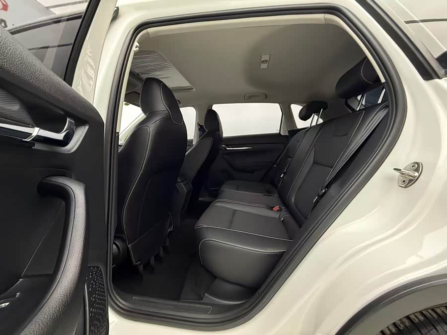 Skoda Kamiq 2021 car image #11