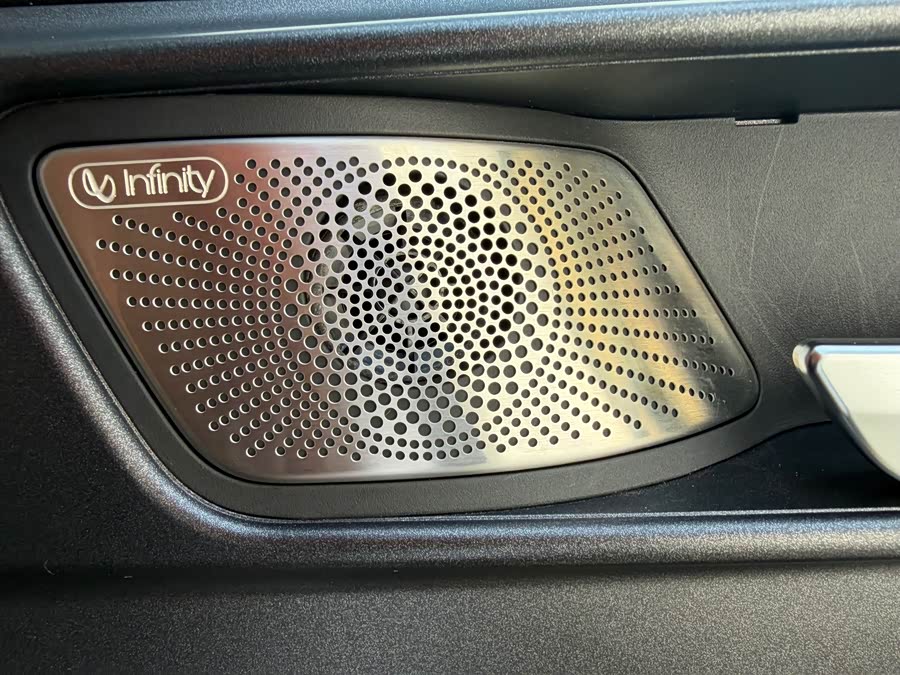 Tank 300 2023 car image #11