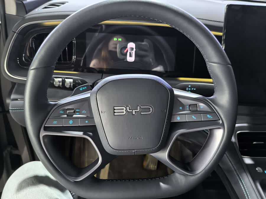 BYD Sea Lion 07 DM-i 2025 car image #11