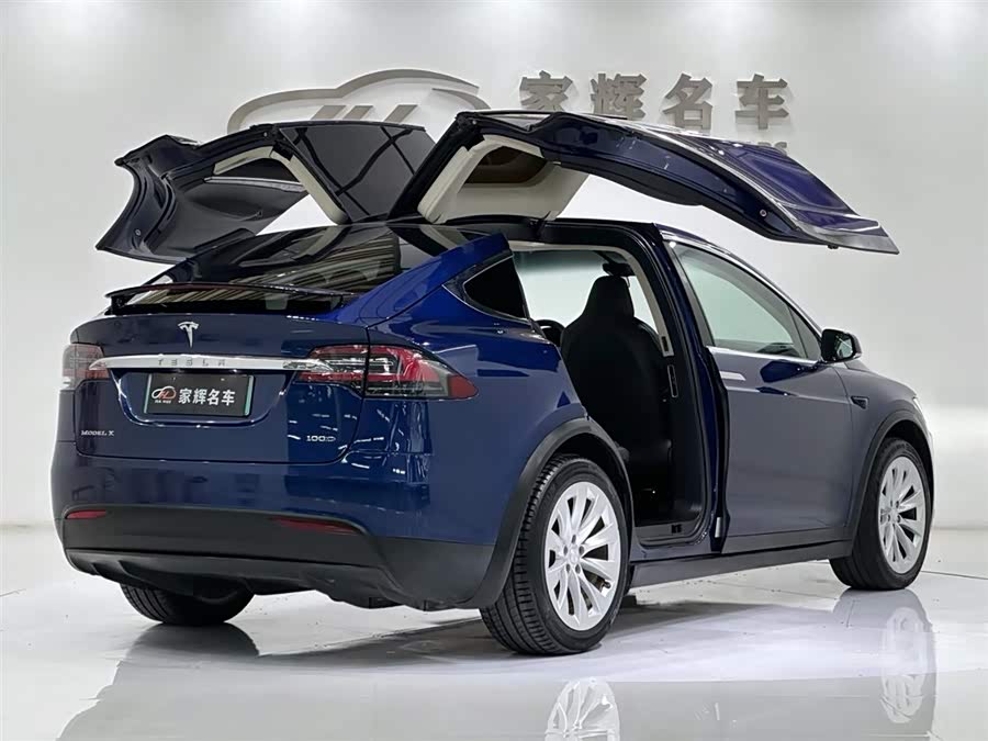 Tesla Model X 2018 car image #11