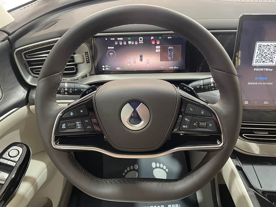 Denza D9 2025 imagen de coche #11