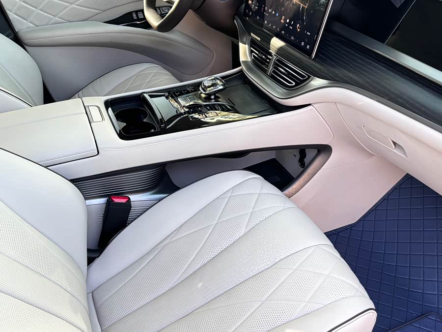 腾势 腾势D9 2024 汽车图片 #11