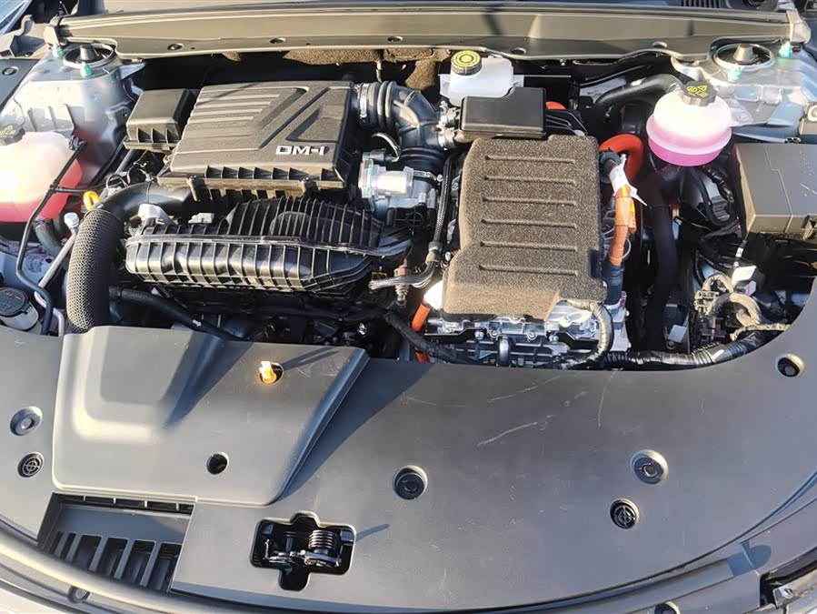 BYD Destroyer 05 2024 car image #11