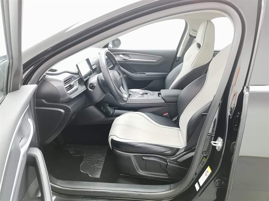 BYD Destroyer 05 2024 car image #11
