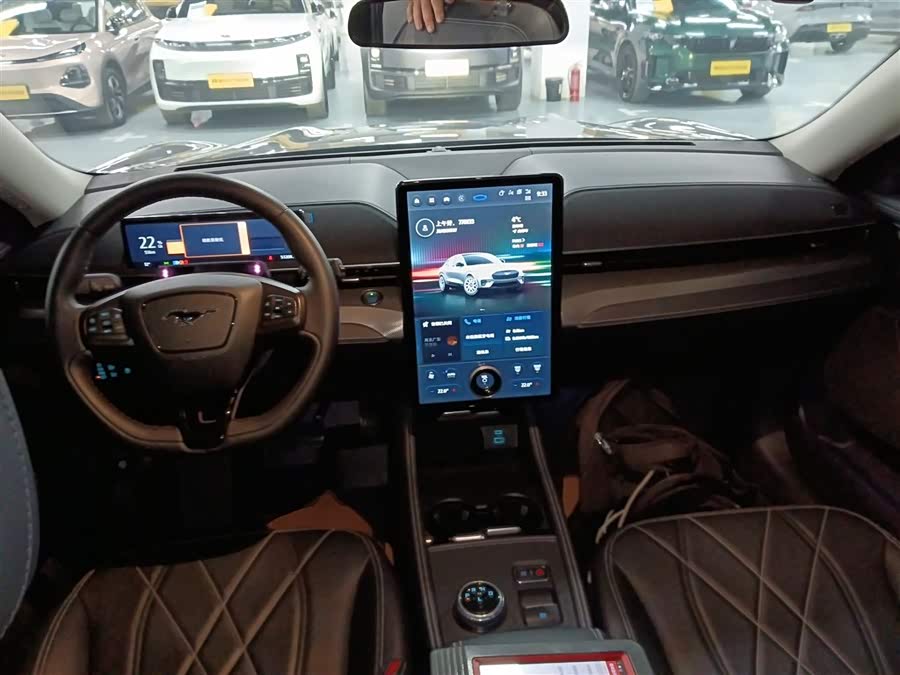 Ford Mustang Mach-E 2022 car image #11