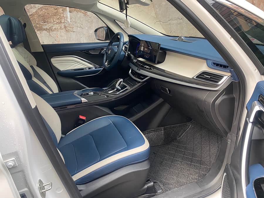 睿蓝汽车 枫叶80v PRO 2023 汽车图片 #11